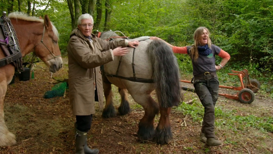 Paul OGradys Great British Escape