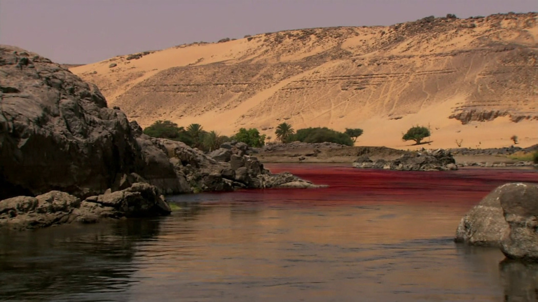 The Biblical Plagues