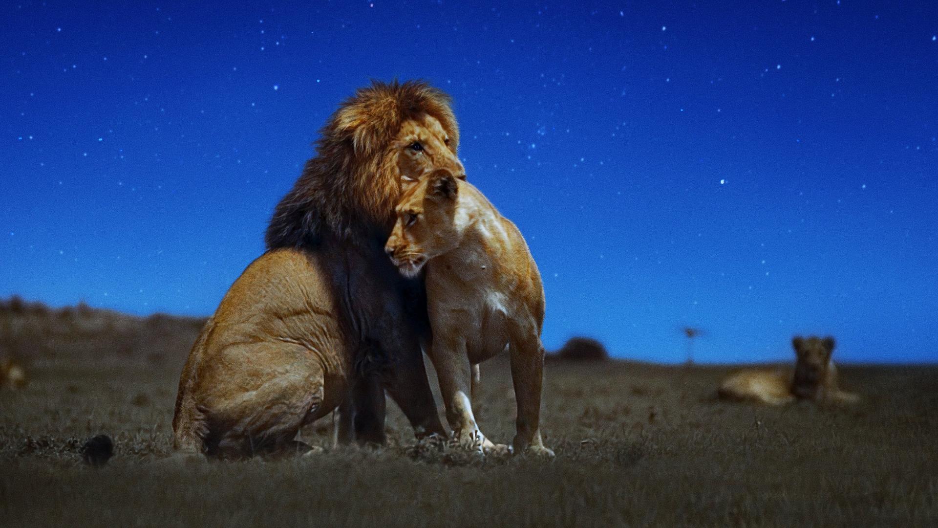 Earth at Night in Color  ქართულად -  Земля ночью в цвете