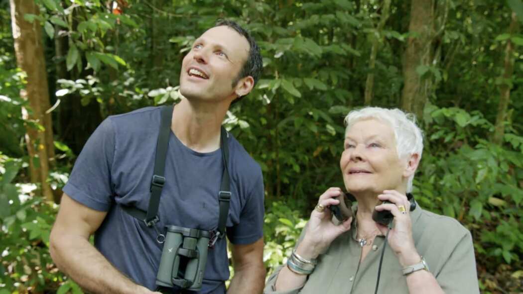 Judi Denchs Wild Borneo Adventure