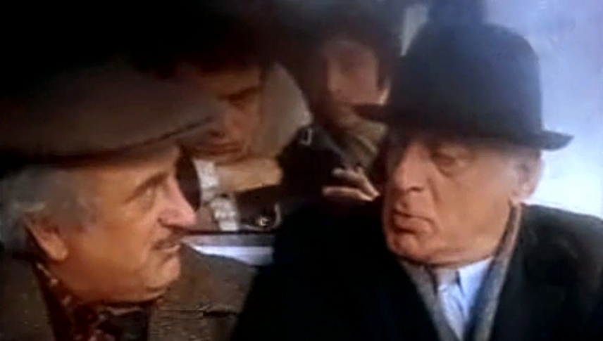 ნეილონის ნაძვის ხე  ქართულად -  Neilonis nadzvis khe