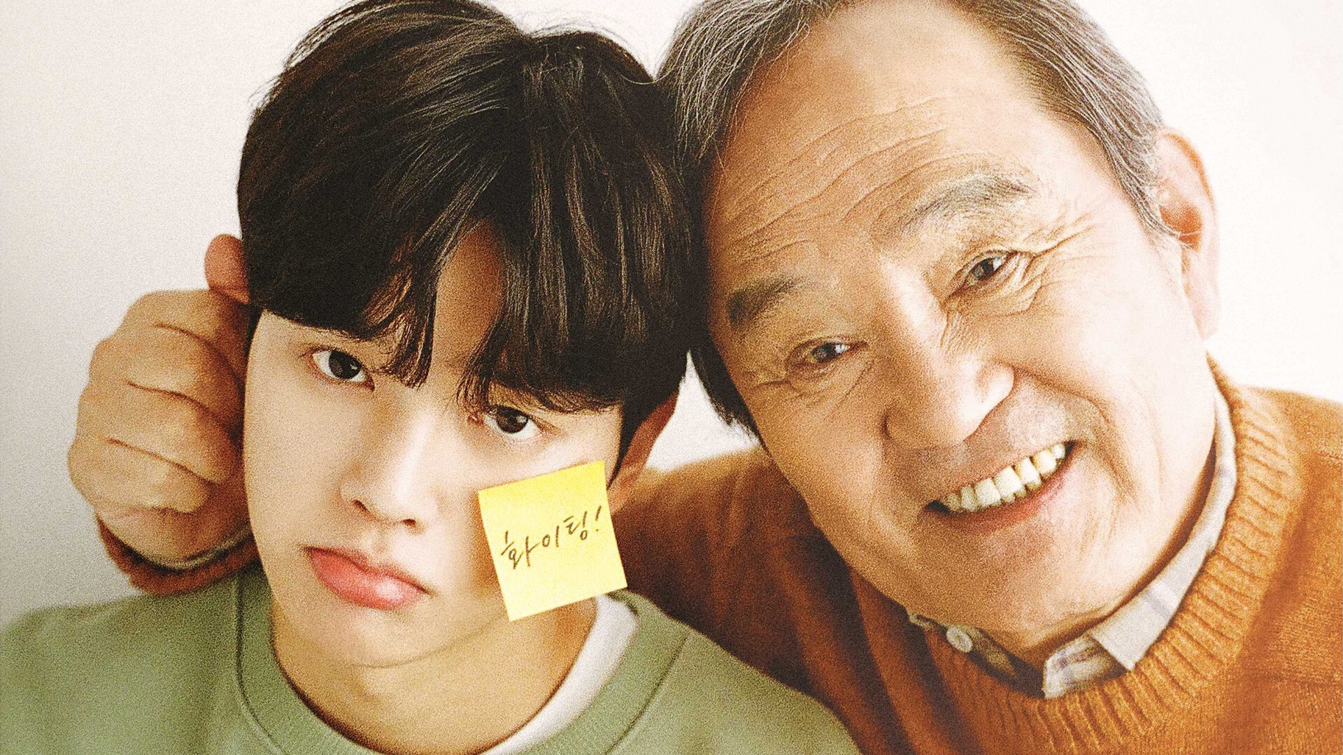 Navillera  ქართულად -  Навиллера