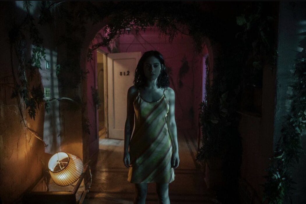 ალუბლის ახალი არომატი  ქართულად -  Brand New Cherry Flavor