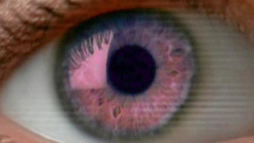 ცაიტგაისტი  ქართულად -  Zeitgeist