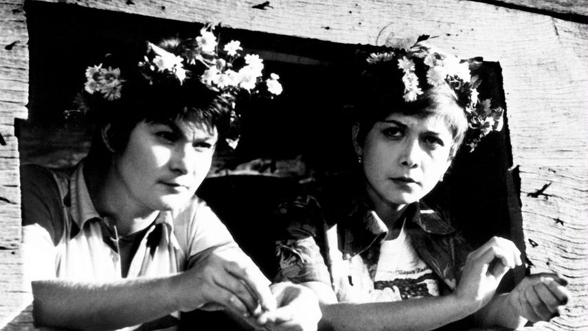 პასტორალი  ქართულად -  Pastorali