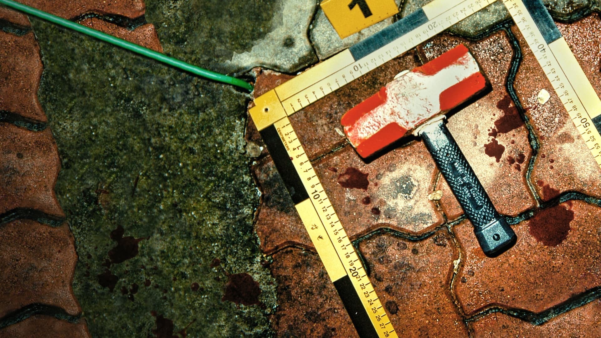 The Raincoat Killer: Chasing a Predator in Korea  ქართულად -  Убийца в плаще: Охота на корейского хищника