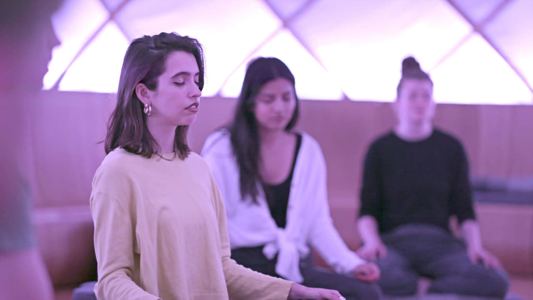 ადამიანის გონება, გაშიფრულია.  ქართულად -  The Mind, Explained