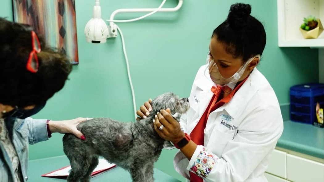 Pop Goes the Vet with Dr. Joya