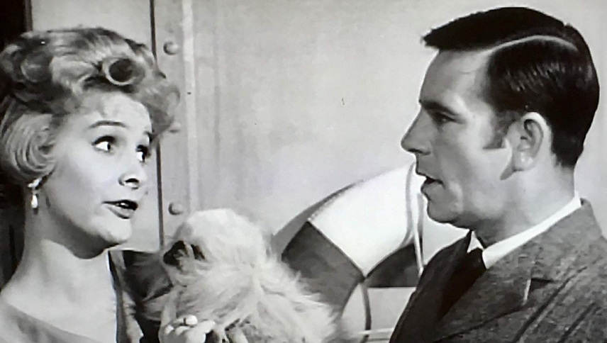 გოგონა ბორტზე  ქართულად -  The Girl on the Boat