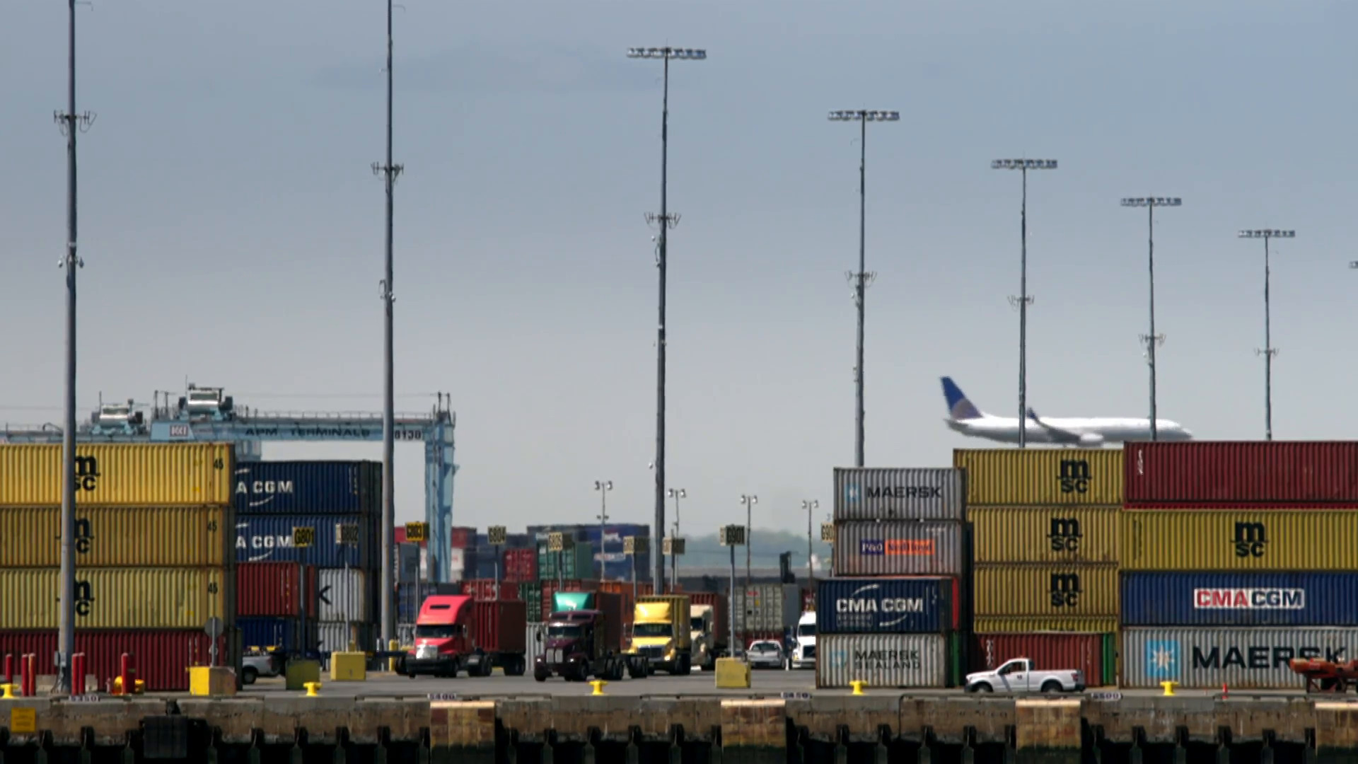 Out of Stock: Supply Chain Crisis