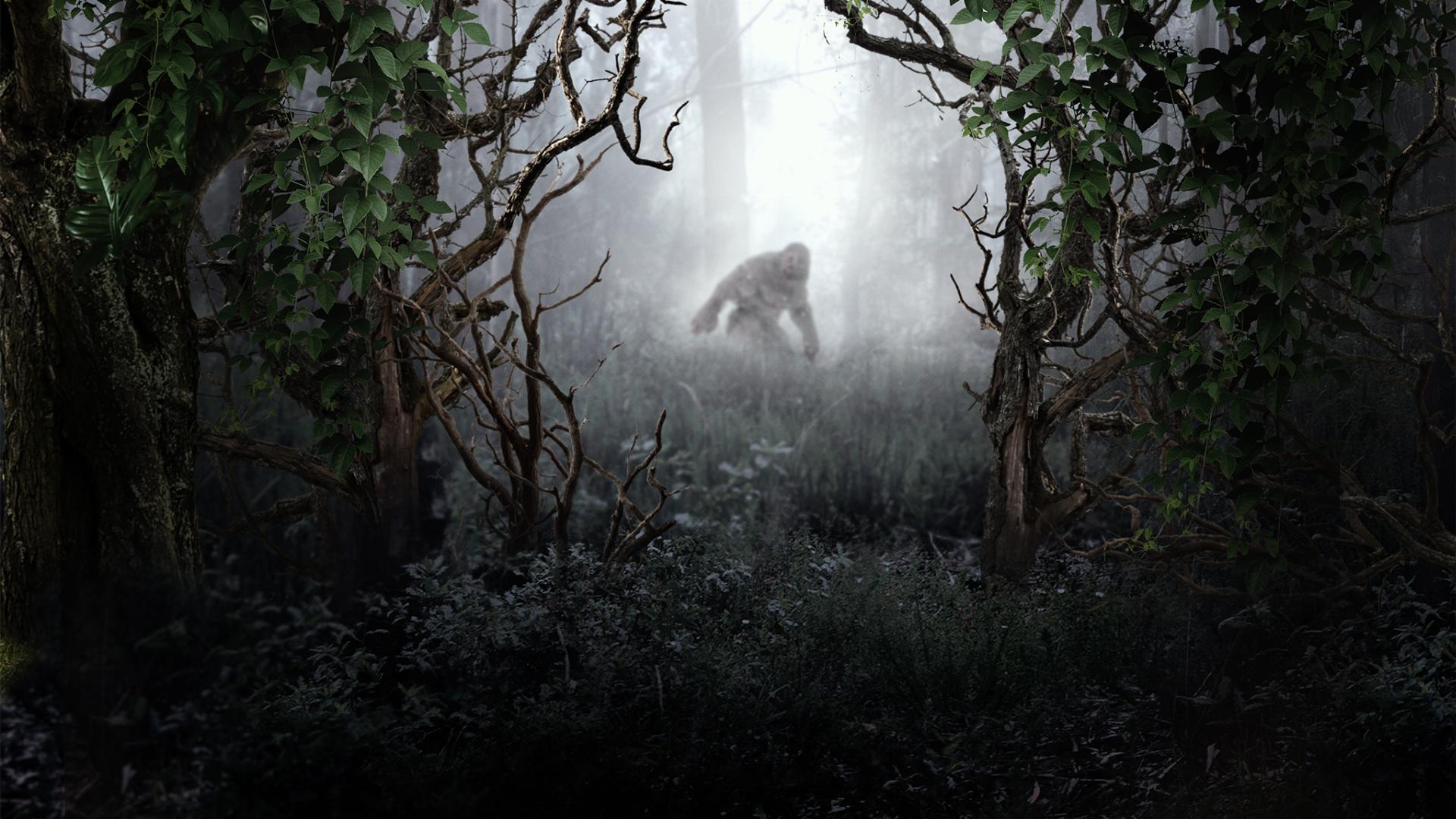 Monsterquest Specials