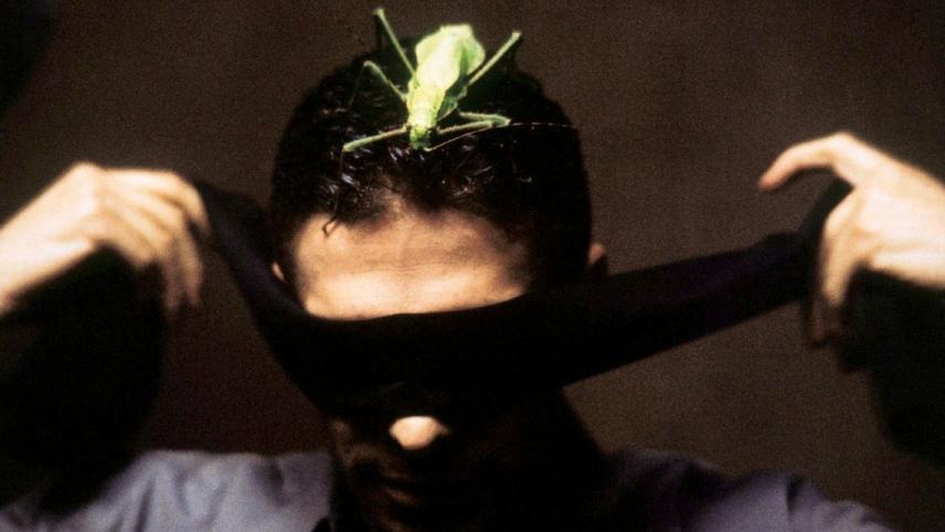 ინტაქტო  ქართულად -  Intacto