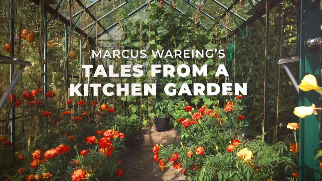 Marcus Wareings Tales from a Kitchen Garden