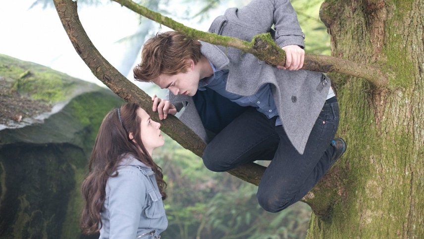 ბინდი  ქართულად -  Twilight