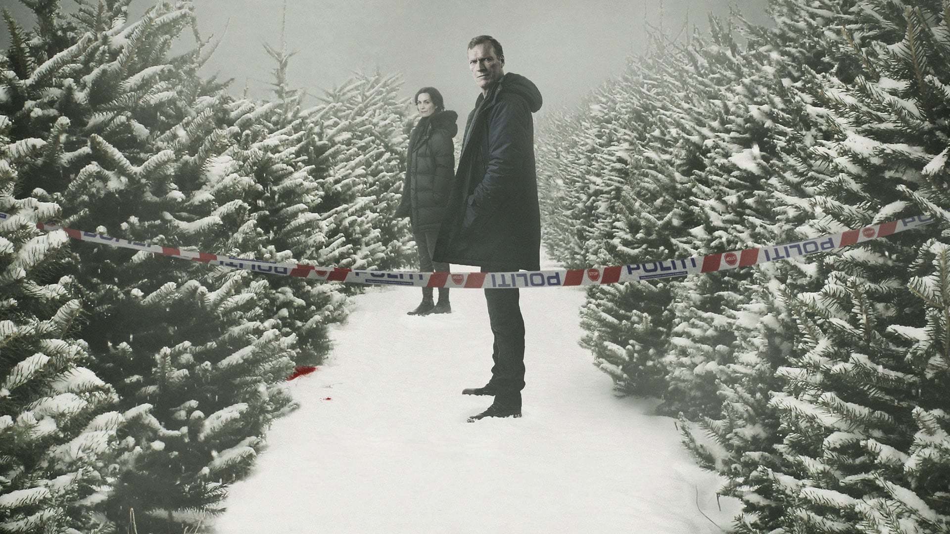 უისტინგი  ქართულად -  Wisting