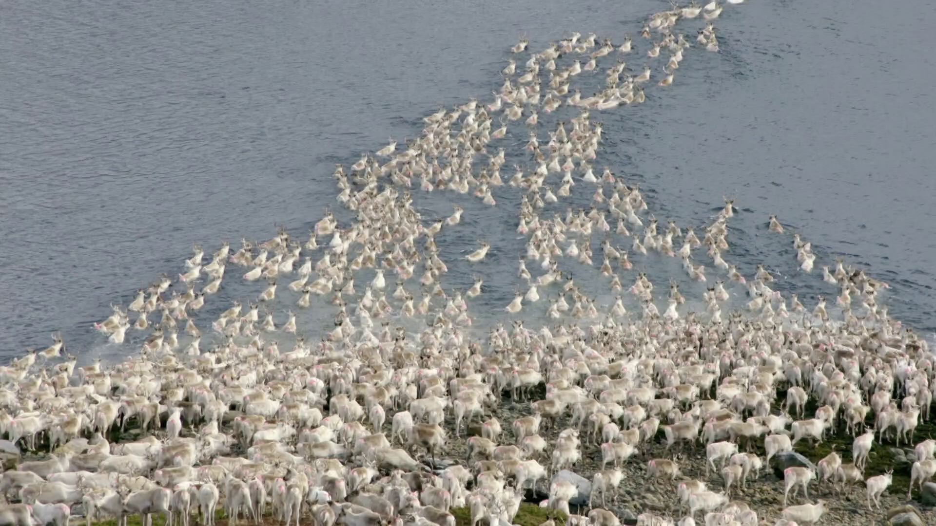 Land of the Far North