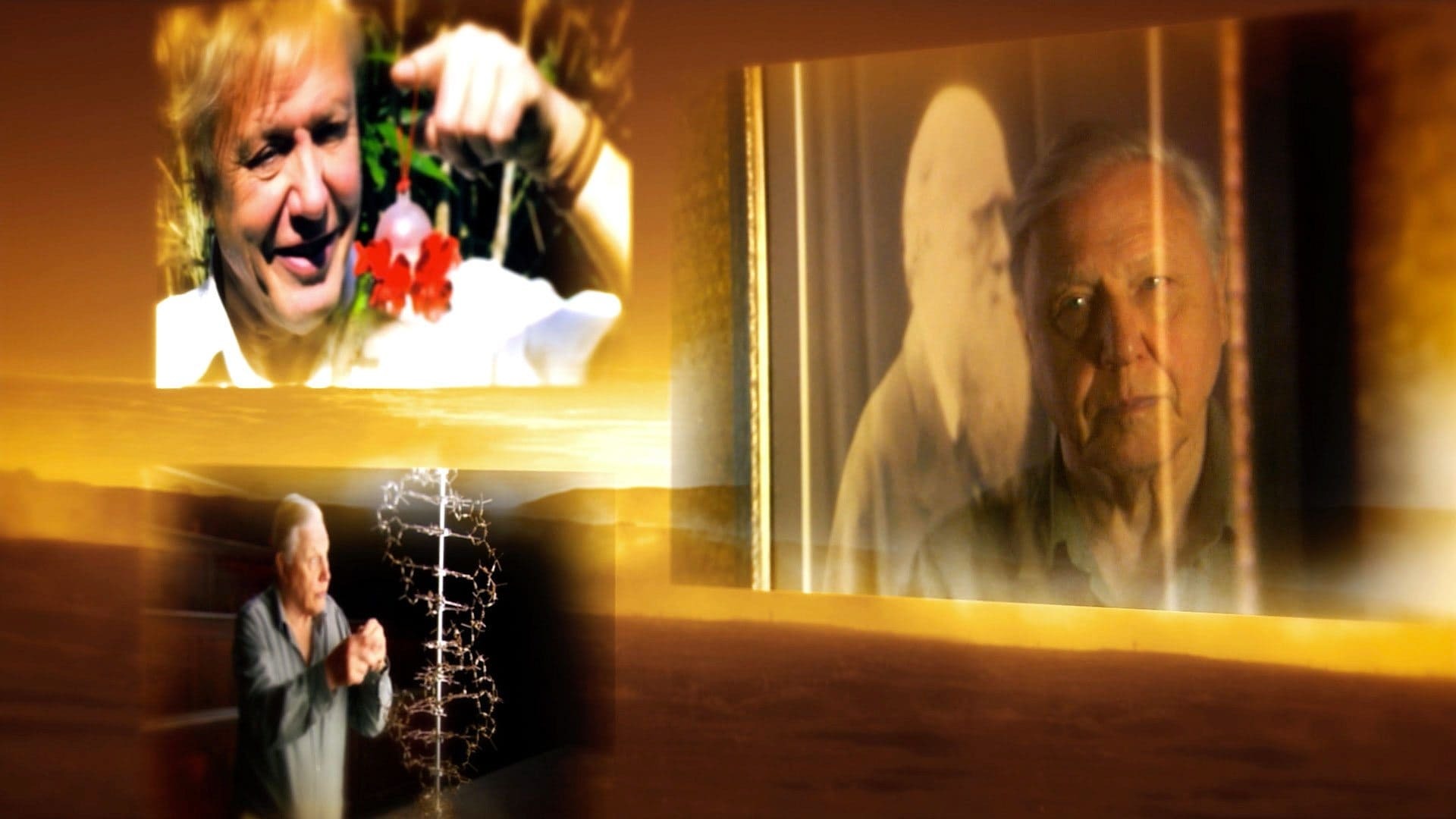 Attenboroughs Passion Projects