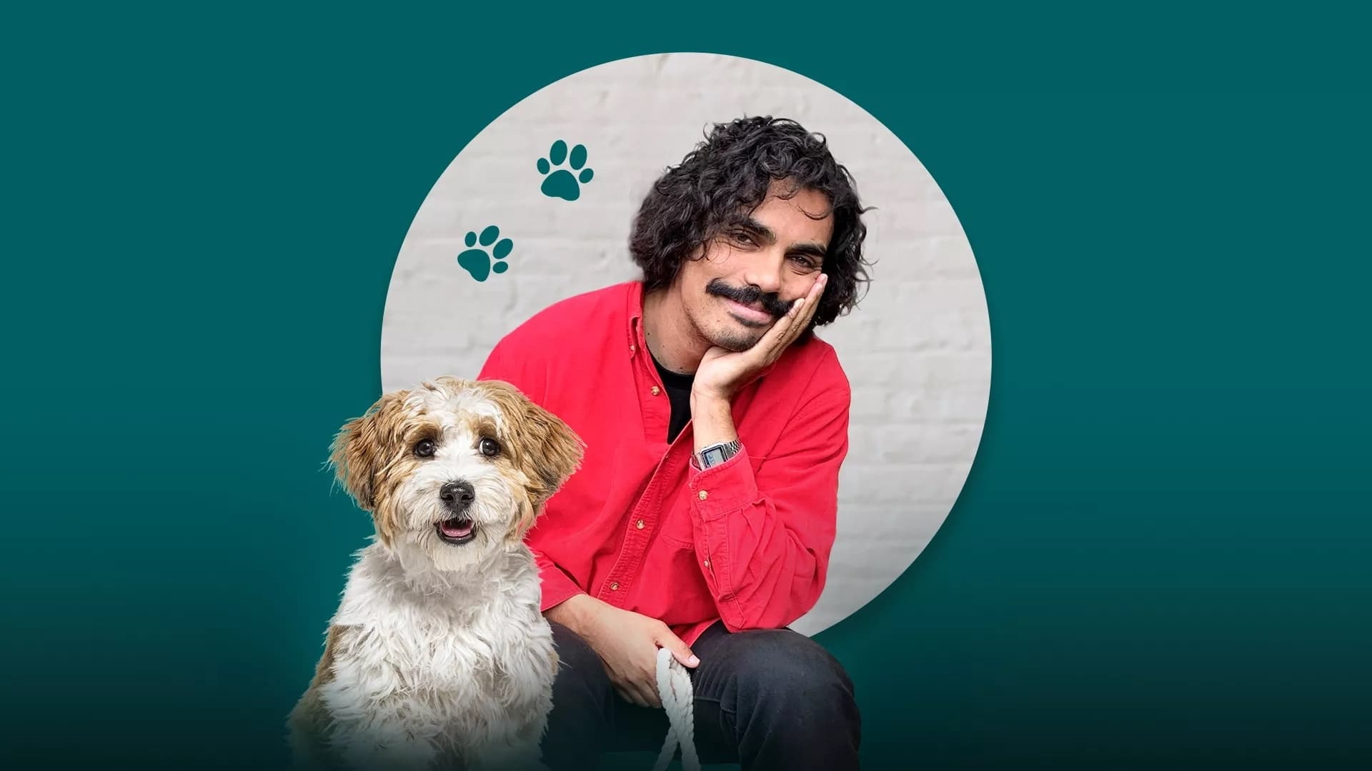 A Dogs World with Tony Armstrong