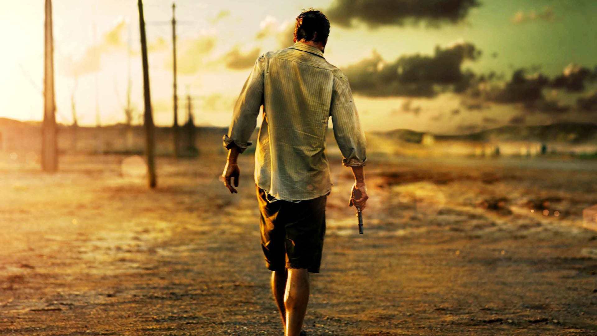 როვერი  ქართულად -  The Rover