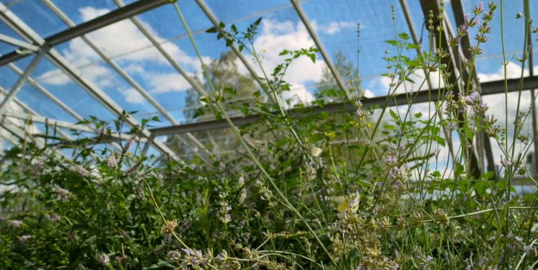 Home  ქართულად -  Дом