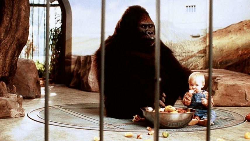 ჩვილის სეირნობა  ქართულად -  Babys Day Out