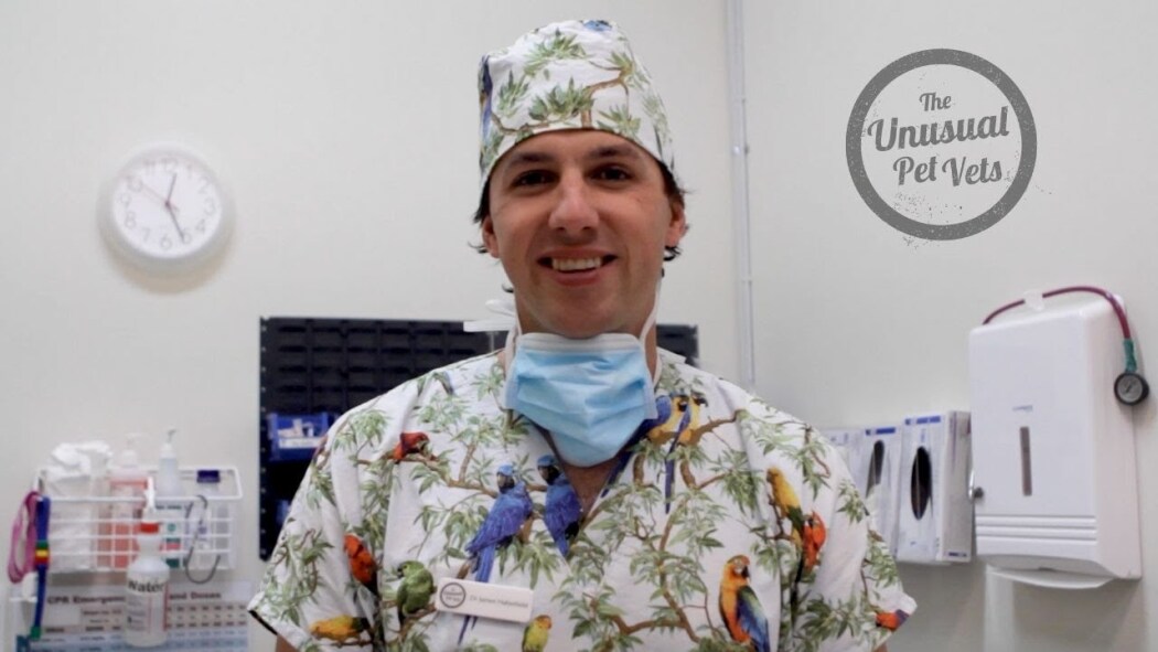 The Bizarre Pet Vets