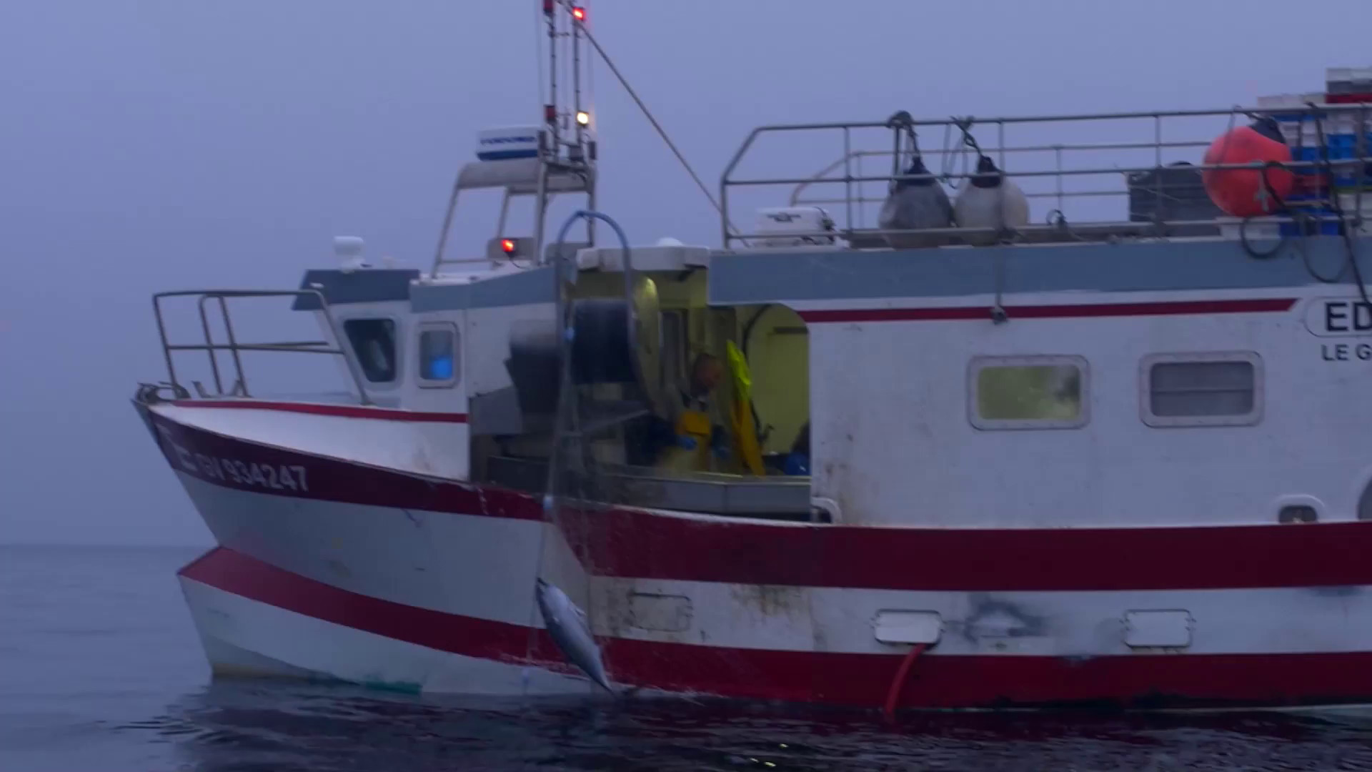 Ocean Action Reports