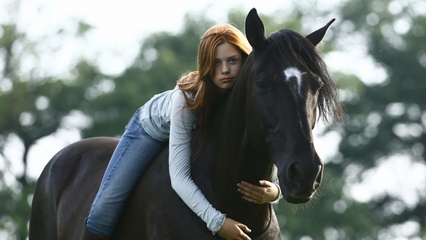 აღმოსავლეთის ქარი  ქართულად -  Ostwind