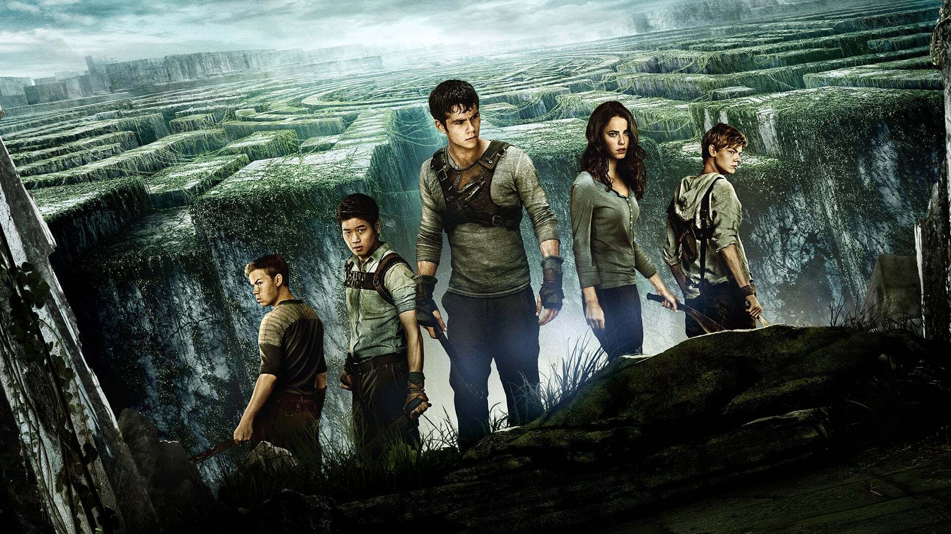 ლაბირინთში მორბენალი  ქართულად -  The Maze Runner