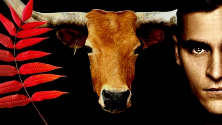 დედამიწელები  ქართულად -  Earthlings