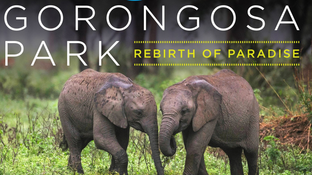 Gorongosa Park: Rebirth of Paradise