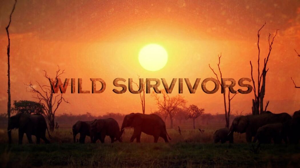 Wild Survivors