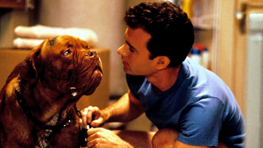 ტერნერი და ჰუჩი  ქართულად -  Turner amp Hooch