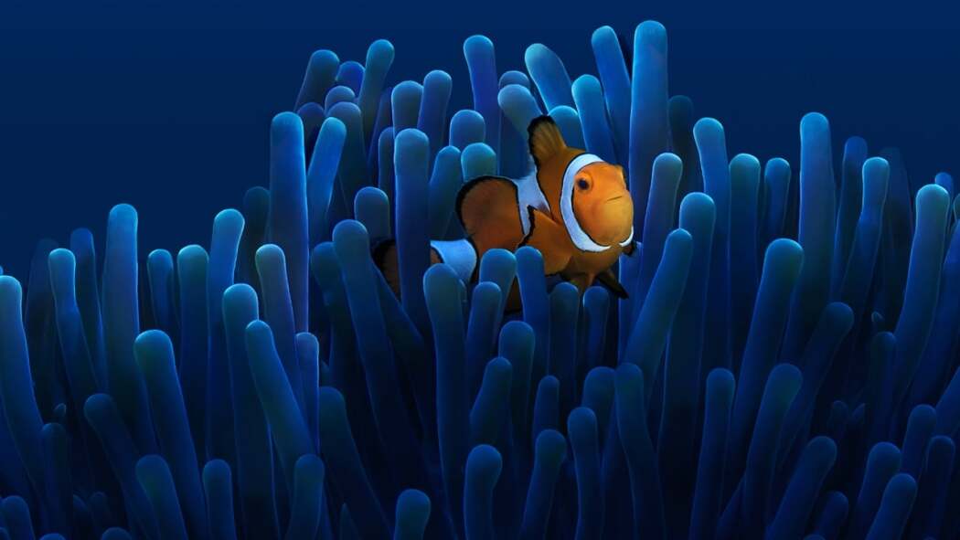 Australias Ocean Odyssey