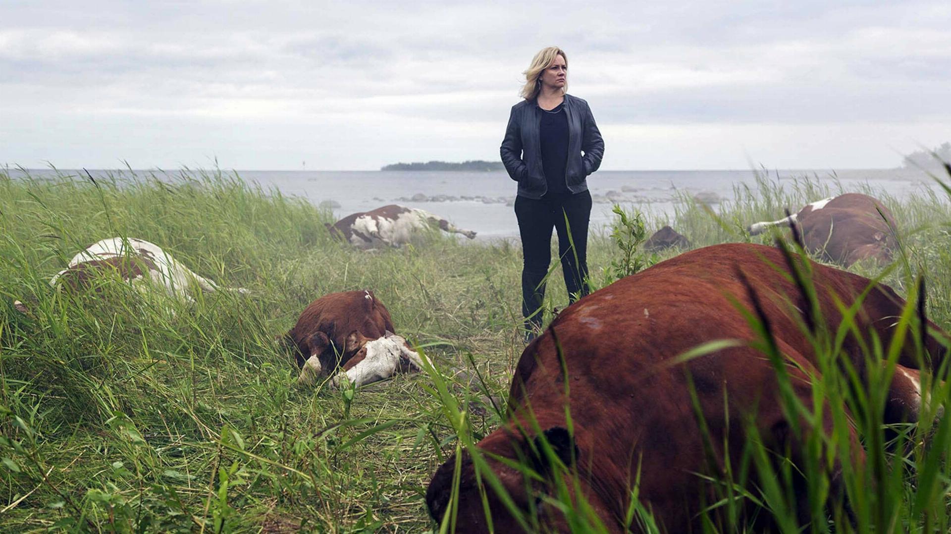 ყველა ცოდვა  ქართულად -  All the Sins