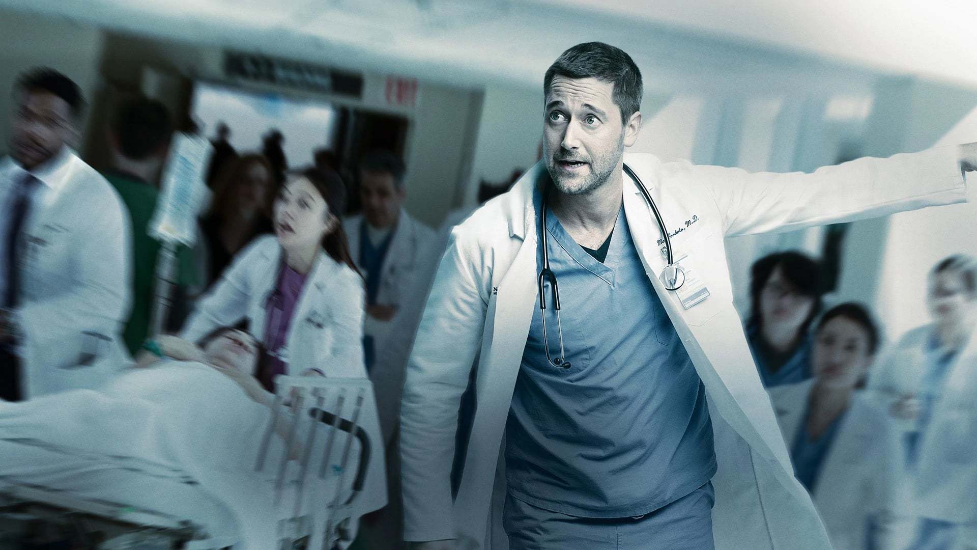 ახალი ამსტერდამი  ქართულად -  New Amsterdam