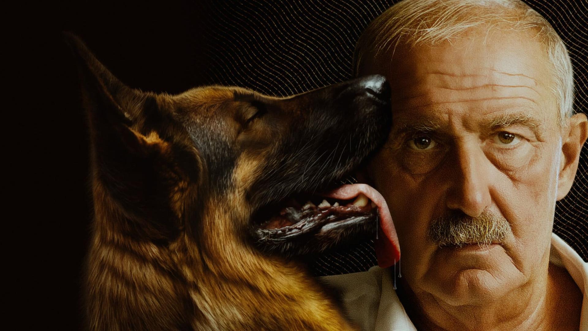 Gunthers Millions  ქართულად -  Миллионы Гюнтера