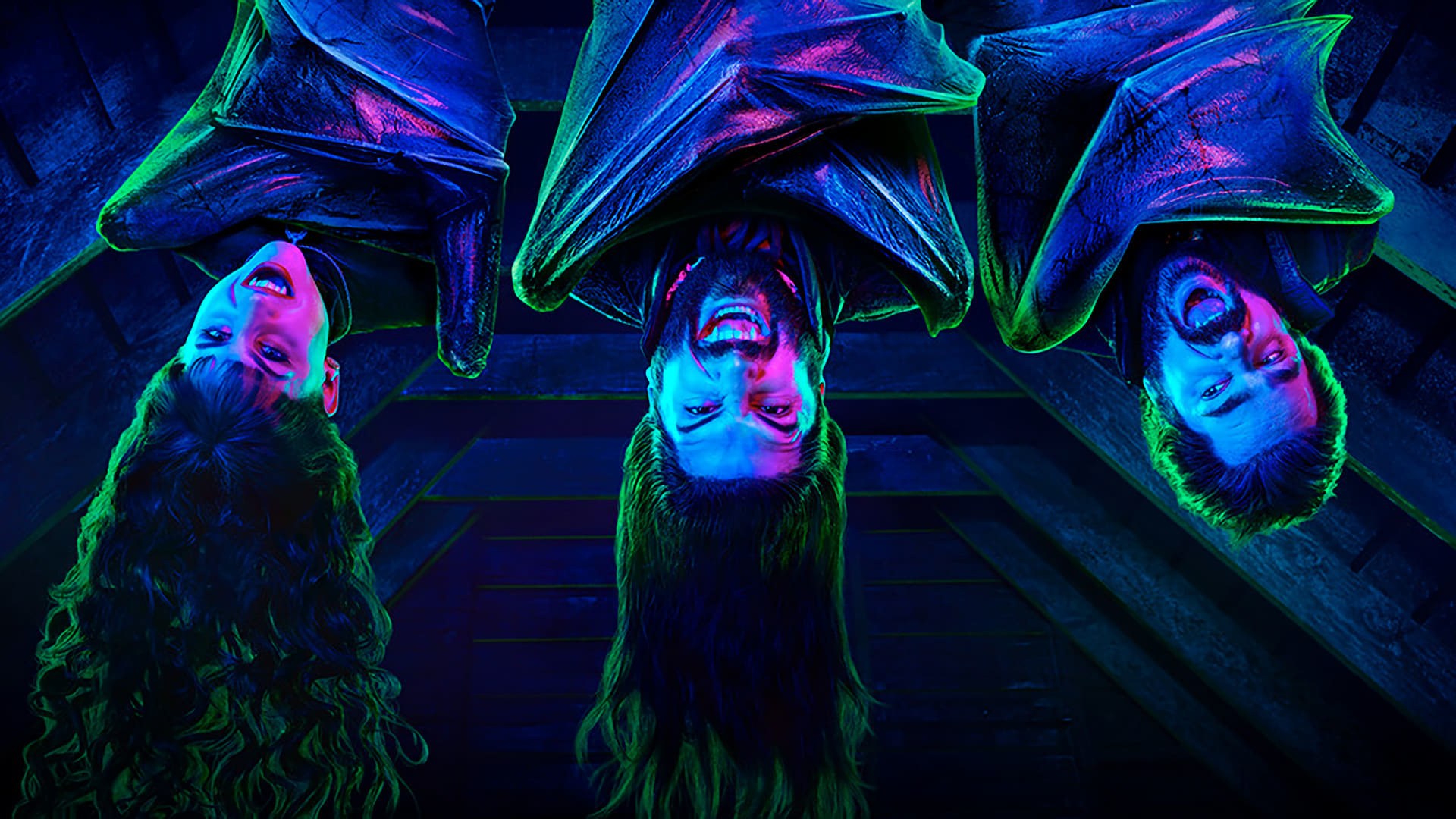 რას ვაკეთებთ სიბნელეში  ქართულად -  What We Do in the Shadows