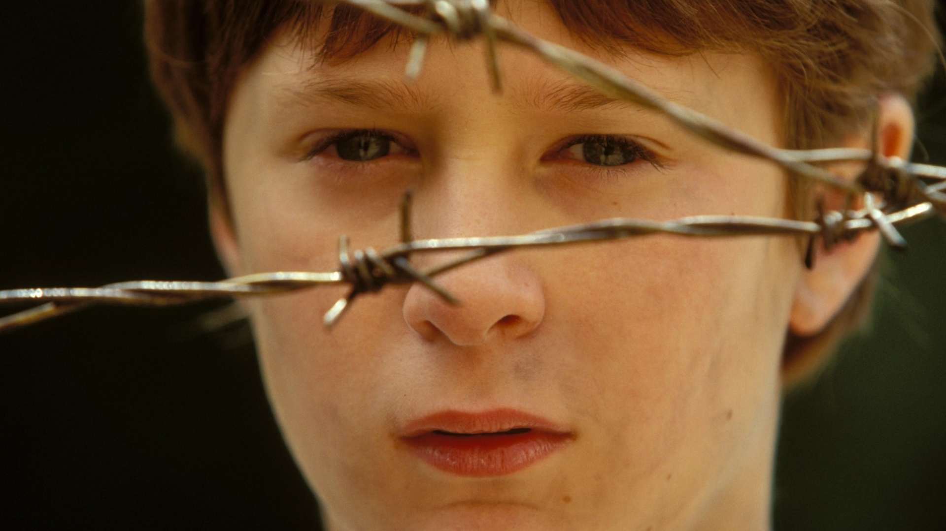 მე მქვია დევიდი  ქართულად -  I Am David