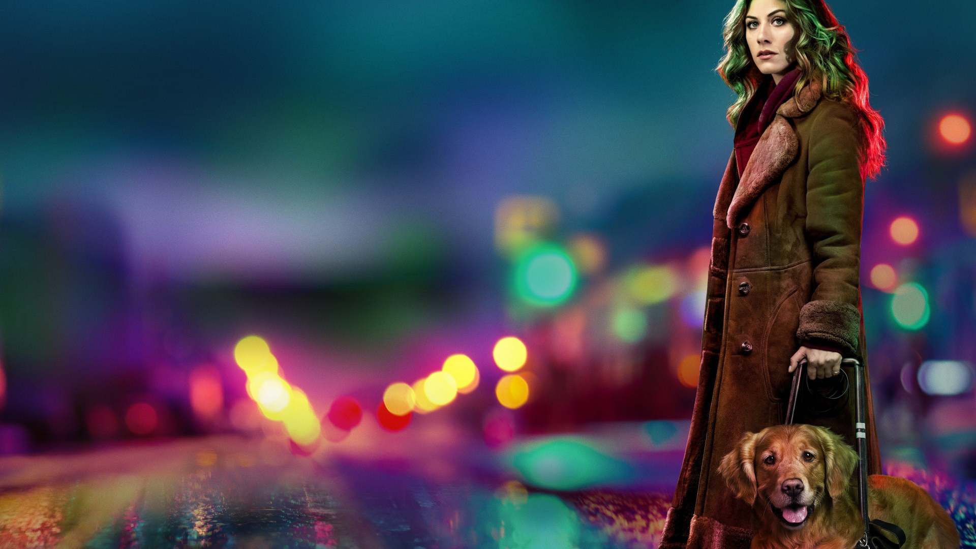 სიბნელეში  ქართულად -  In the Dark