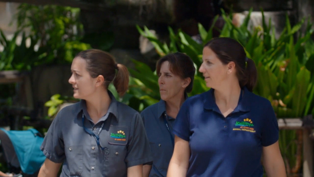 Secrets of the Zoo: Tampa