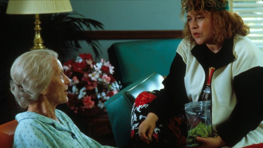 შემწვარი მწვანე პომიდვრები  ქართულად -  Fried Green Tomatoes