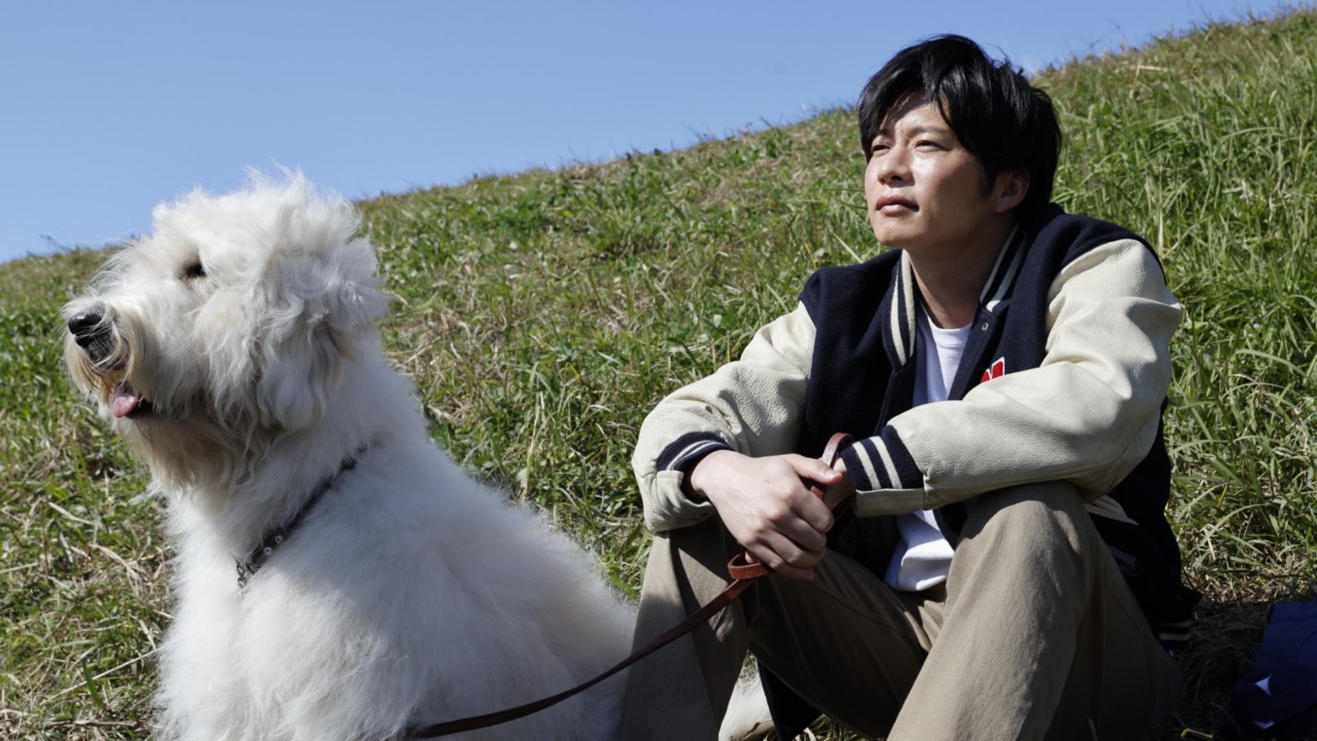 ჰაუ  ქართულად -  Haw