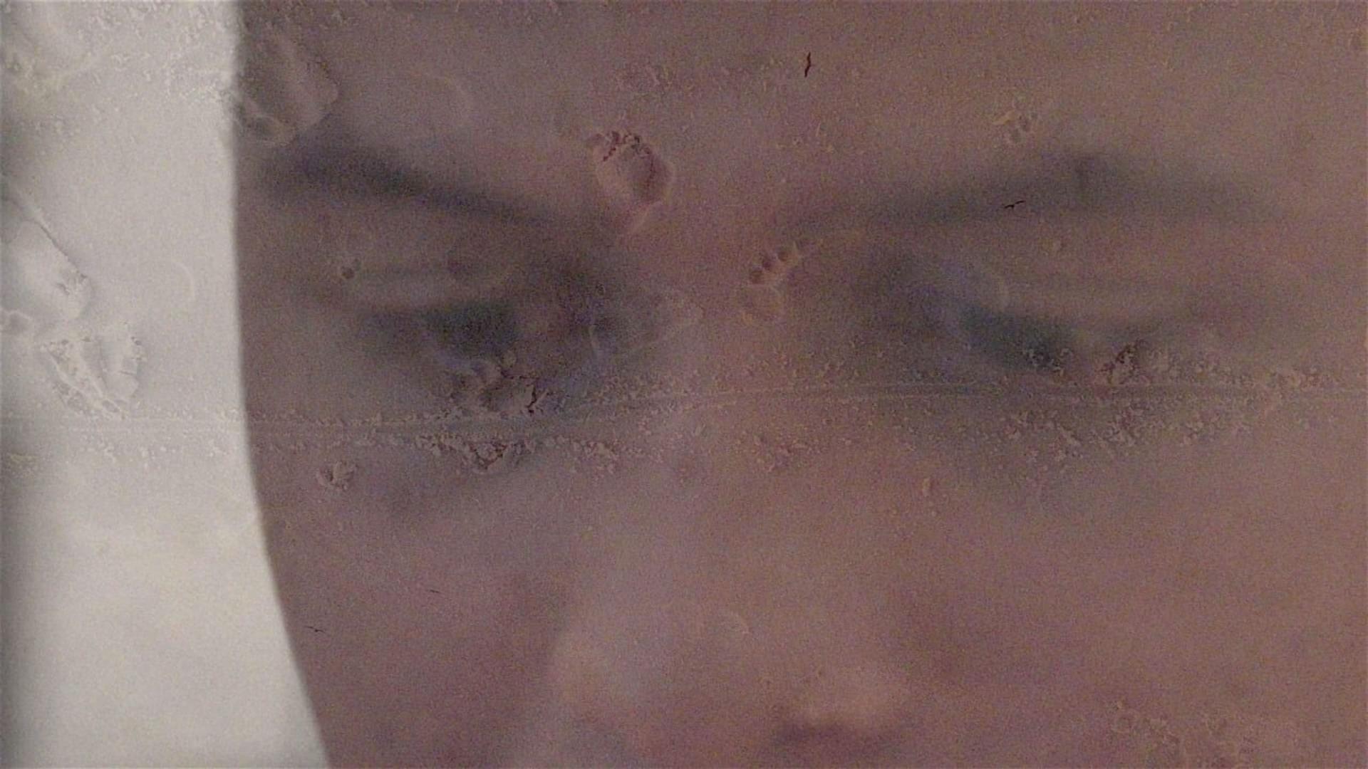 ინაუგურაციის დღე  ქართულად -  O Dia da Posse