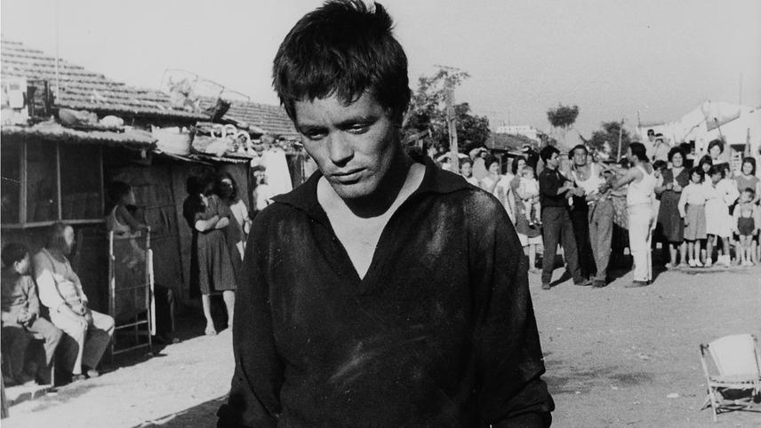 აკატონე  ქართულად -  Accattone