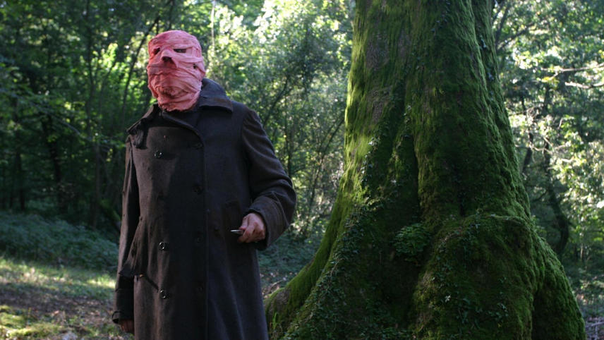 დროის მარყუჟი  ქართულად -  Timecrimes