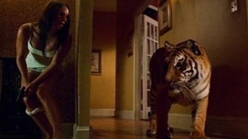 კაშკაშა სინათლე  ქართულად -  Burning Bright