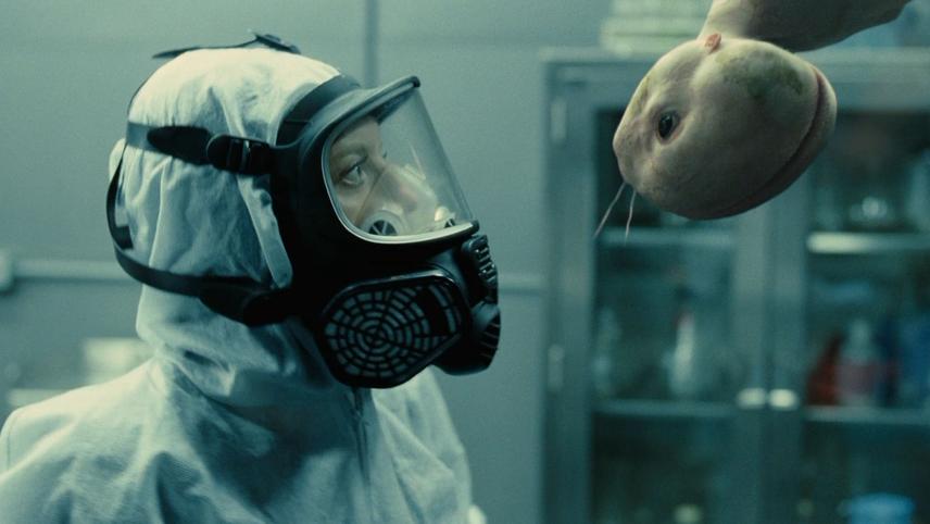 ჰიმერა  ქართულად -  Splice