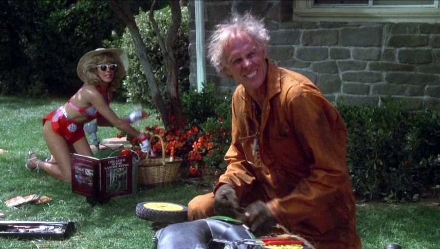 გარეუბანი  ქართულად -  The Burbs