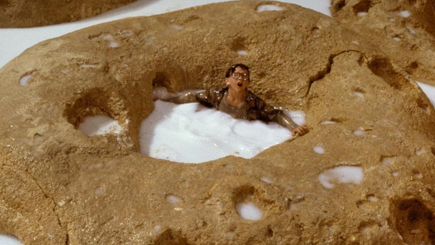 ძვირფასო, მე ბავშვები დავაპატარავე  ქართულად -  Honey, I Shrunk the Kids